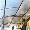 Canopy