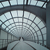 Canopy